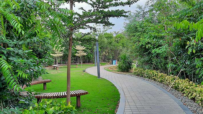 Beautiful park with green view outside the JLL  campus